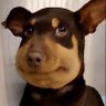 Imposible (Español)'s profile picture