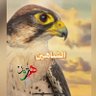 Profilbild von الشاهين
