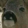 Spiky's profile picture