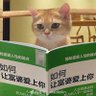 web3冲鸭 profil fotoğrafı