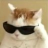 Juninho's profile picture