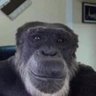 Profilbild von Vlad