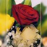Фото профиля hana~