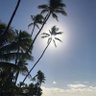 Фото профиля まはろ
