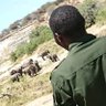 John Madereke🦏's profile picture