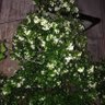 Фото профиля ABCD1234