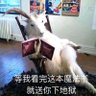 宁静致远 的头像