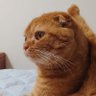 Фото профиля JunKiyoshi