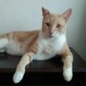 Mabeli Muรฑoz Tuesta's profile picture