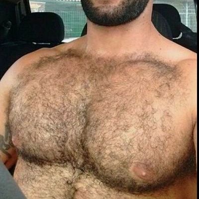 bluebear882's profile picture