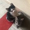 Rudy and Pud's profile picture