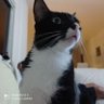 Paty profil fotoğrafı