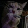 tokichi profil fotoğrafı