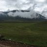 Фото профиля الديم