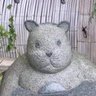 Profilbild von 中御門