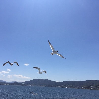 kirkpaper's profile picture
