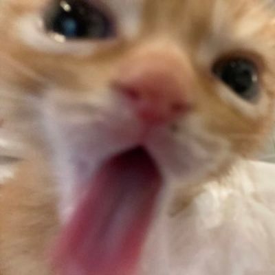 emmy. ♡'s profile picture