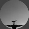 Profilbild von 𖠌