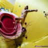 De_Andreaa profil fotoğrafı
