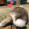 あきティ 的头像