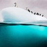 Фото профиля walid sayed