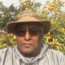 Profilbild von Dharmendra Bihari