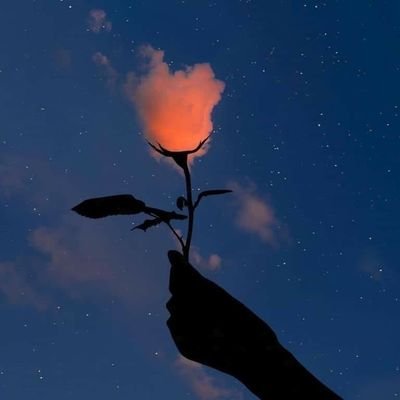 JDDRMA's profile picture