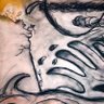 Oh_die_See-oder doch amöbenartiges Höhlentierchen? profil fotoğrafı