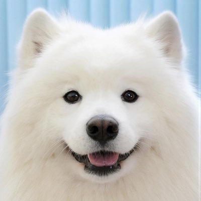 toon_lightone ₍ᐢ•◡•ᐢ₎'s profile picture