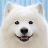 Profilbild von toon_lightone ₍ᐢ•◡•ᐢ₎