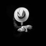 J.A's profile picture