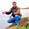 علي غانم's profile picture