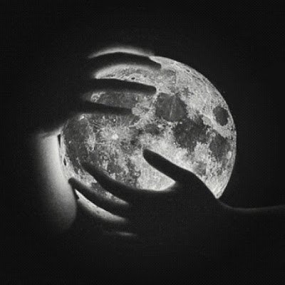 AlaricMoon's profile picture