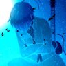koinu 🐦mania(A氏 profil fotoğrafı