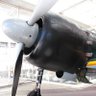 皇紀2600　A6Ⅿ5's profile picture
