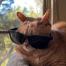 Profilbild von Jessassin
