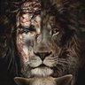 TF's profile picture