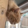 物語 profil fotoğrafı