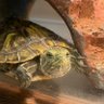 KAME🐢TARO 的头像
