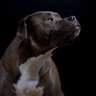 Duke22 profil fotoğrafı