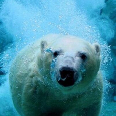 댕's profile picture