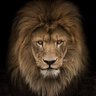 Gonzalo Durán's profile picture