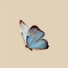آلاء 🍃's profile picture