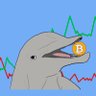 Profilbild von cryptodolphin