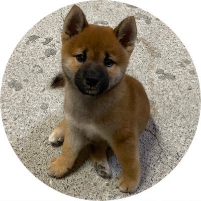ponjuice729's profile picture