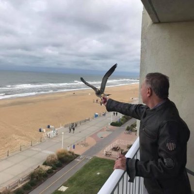 Mr. Mister's profile picture