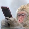 deschadul's profile picture