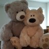 Maryse Thomas's profile picture