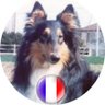 lamascotte (45)'s profile picture