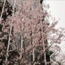 スカイ profil fotoğrafı